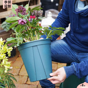 绿箩加伦青山时尚盆景拖盘大口径多肉花盆25cm特大小号室外圆口种