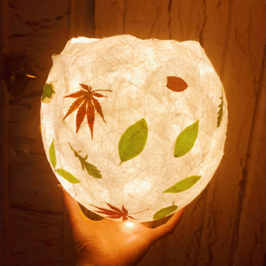 网红手工diy天然压花草纸灯笼制作材料diy天然干花工具压花花材