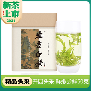 【2024新茶现货】宋品安吉白茶精品级春茶绿茶50克单罐