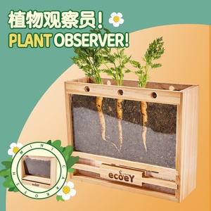 小花农蛋