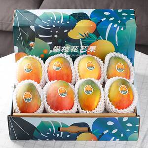 顺丰包邮 攀枝花凯特芒果8斤特大果礼盒装当季新鲜水果整箱