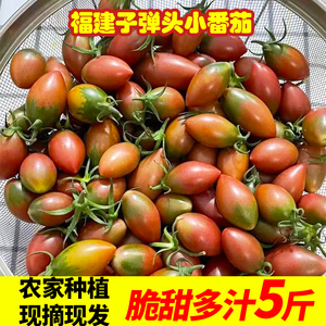 现摘紫色迷彩小番茄圣女果新鲜小西红柿子铁皮生吃水果蔬菜5斤