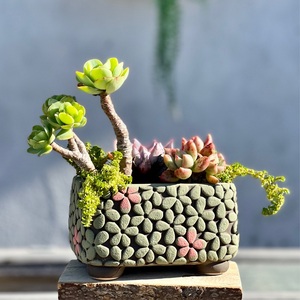 瓦盆长方形花盆