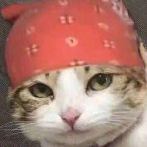 香蕉君同款头巾 自由 哲学家头巾周边 蕉个朋友 兄贵哲学装备