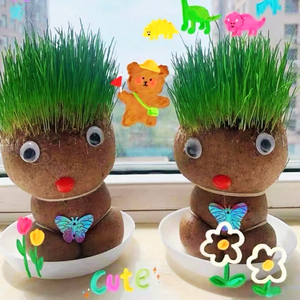 娃娃头上长草头大头小盆栽创意头顶长草趣味植物浇水长头发绿植