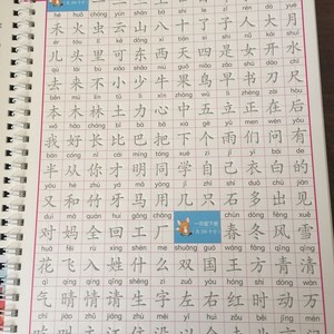 神奇多功能练字板 小学生1-6年级语文同步生字练习 凹槽自动消失