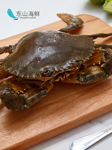 红鲟蟹鲜活福建