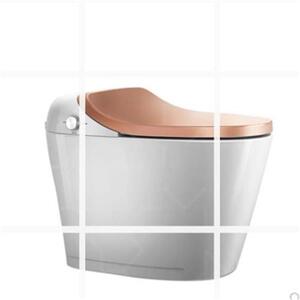 【杜马智能马桶】杜马智能马桶品牌,价格 - 阿里巴巴