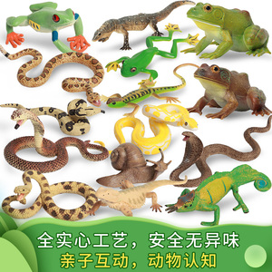 仿真蛇模型玩具儿童实心两栖爬行动物蟒蛇眼镜蛇响尾蛇树青蛙蜗牛