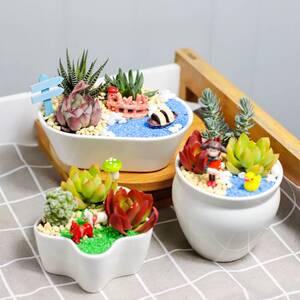 植树节手工制作diy幼儿园材料包大班春天多肉盆栽植物小学生作业