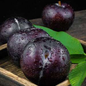 现货 新疆 阿克苏 特产 黑布林 李子 孕妇整箱发顺丰