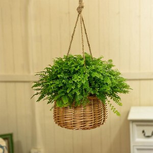 油画吊兰专用盆吊兰花盆垂吊藤编悬挂式挂盆吊挂吊兰盆栽垂吊盆吊