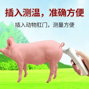 肛门电子体温计兽用精准肛套猪用电子肛温计体温计动物快速测温