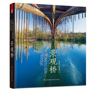 景观桥 风景园林区 步行桥木桥 铁桥 桥梁装饰材料 景观桥梁设计案例图 设计与构造手册 桥梁设计书籍