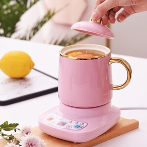 电煮杯一人家用mini花茶杯炖盅多功能热水壶便携式小型炖锅热水杯