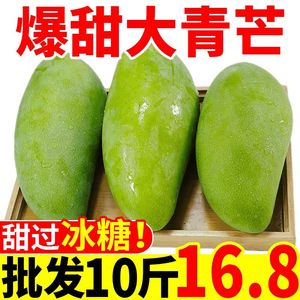 越南大青芒10斤新鲜青皮芒果进口甜心芒水果整箱金煌当季青芒果10