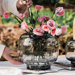 北欧创意玻璃花瓶透明大号圆形水养金鱼鲜花插花餐桌客厅摆件居家