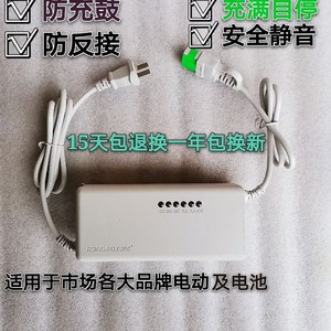 荣达电动车充电器48v60v爱玛雅迪小刀货运三轮车电瓶车冲电器通用