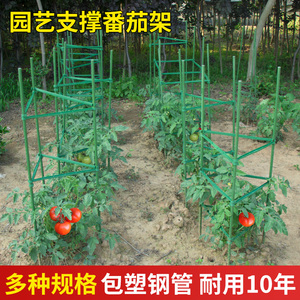 西红柿支架黄瓜爬藤架园艺花卉绿植支撑杆阳台地面花架固定番茄