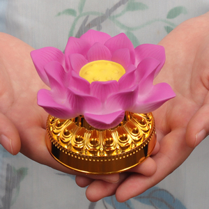 宝莲华七彩莲花灯电子供佛led灯泡电池插电双用七星长明灯供灯