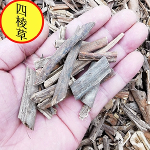 000人付款天猫中药材 四棱草 别名:筋骨连 箭羽草