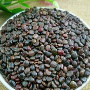 中药材 枳具子 别名:枳椇子 白实鸡 距子 万寿果 500克