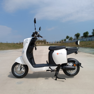 豪越新国标电动车可上牌 小绵羊电瓶车锂电池48v女士成人2021新款