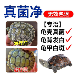 龟药巴西龟壳发白 白点白斑去除乌龟腹背龟甲白色真菌膏腐皮烂甲