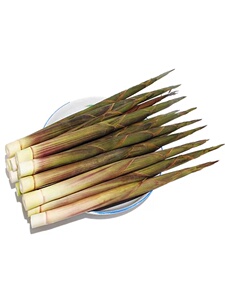 小竹笋新鲜野生江西带壳春笋非雷笋现挖嫩小笋子水竹笋尖山笋甜笋