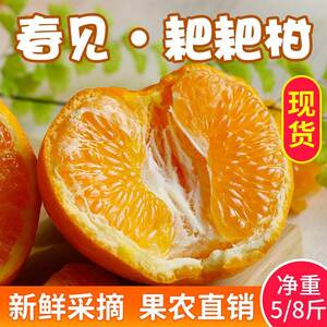 春见粑粑柑四川特产