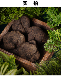 【冰鲜黑松露】冰鲜黑松露品牌,价格 - 阿里巴巴