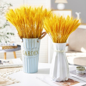 格肯套装田园简约玻璃花瓶鲜花水培花器干花麦穗装饰品插花瓶客厅