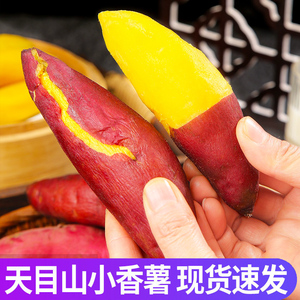 天目山小香薯5斤临安产地批发板栗小红薯新鲜食用甜地瓜手指番薯
