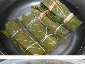 秦岭野生槲叶新鲜粽叶胡叶菠选z0午粽子手萝饼玻璃柞树叶10端片