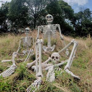 僵尸骨头