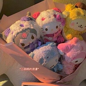 玉桂狗公仔花束库洛米熊猫变装少女毛绒公仔玩偶情侣闺蜜礼物【4