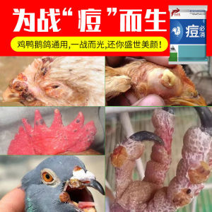 痘必消鸡痘药鸡用鸡痘净鸽痘鸡痘预防治疗重症鸡豆鸽豆鸽子药鸡药