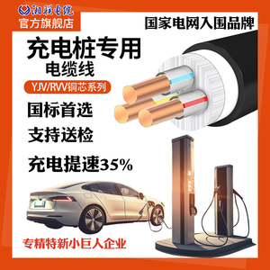 湘联国标充电桩专用电缆YJV/RVV3芯6-10平方铜芯电缆路灯专用电线