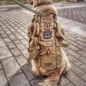 狗战术背心带马甲式德牧金毛中大型军猎工作巡逻犬胸训练套带牵引