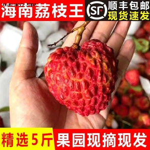现货海南火山岩荔枝王超大甜荔枝5斤当季整箱冷冻水果顺丰