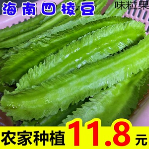 【新鲜采摘】海南四棱豆四角豆龙角豆新鲜蔬菜皇帝豆三亚特产