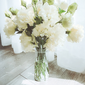 洋桔梗花瓶玻璃透明鲜花客厅插花摆件花器冰岛vintage小众设计感