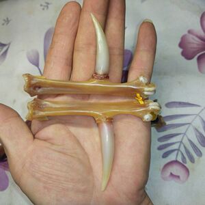 骨头文玩手把件