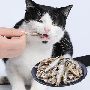 华畜 猫零食小鱼干 猫零食100g小鱼干淡水无盐鱼干幼猫小猫成猫