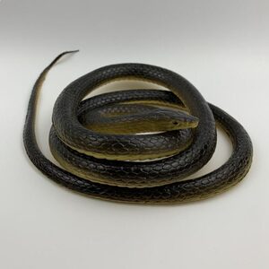 解压小蛇眼镜蛇小虫子恐怖最吓人的玩具世界上最吓人的坑人神器长