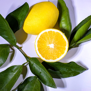 蜜悠悠台湾木瓜蜜丁新鲜西柚当季木瓜橙柚孕妇水果甜送礼家用礼装