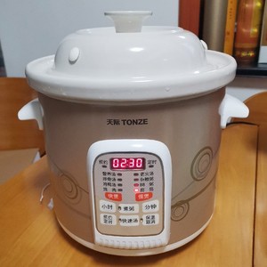 天际电炖炖锅家用全自动智能5L陶瓷煲汤锅电用多功能快速煮粥神器