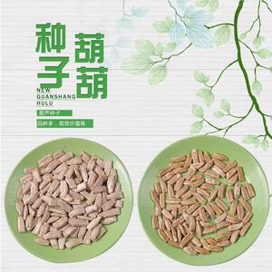 心侣旗舰店天猫葫芦籽 种子特大葫芦子小号亚腰葫芦籽文玩 把玩2021