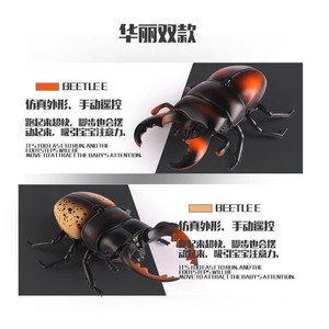 遥控甲虫电动仿生昆虫电子宠物爬行 苏拉威西巨扁遥控甲壳虫玩具
