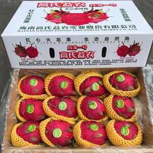 新货海南高氏益农蜜宝红心火龙果10斤礼盒装同城皮薄味甜多汁